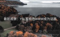 最新观察：YSL蜜桃色WWW成为话题