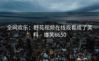 全网欢乐：野花视频在线观看成了笑料 · 爆笑6650